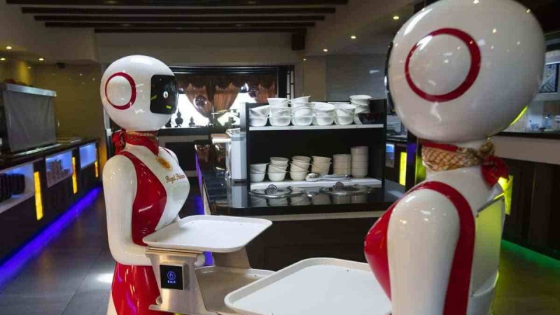 Restaurante na Holanda usa robô-garçom para manter isolamento social