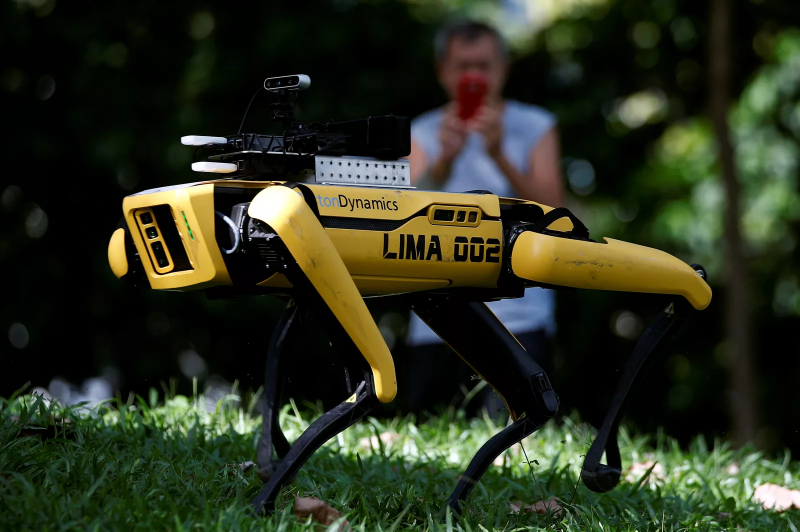 Cão robô reforça medidas de distanciamento social em parque de Singapura